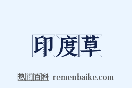 印度草是什么意思的图片